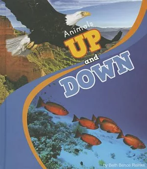 Animals Up and Down