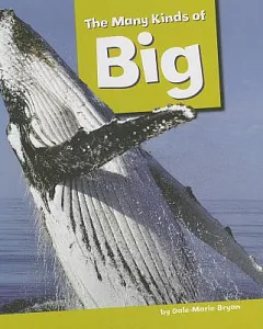 The Many Kinds of Big