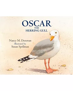 Oscar the Herring Gull