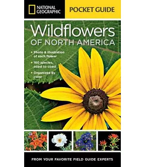 National Geographic Pocket Guide to Wildflowers of North America