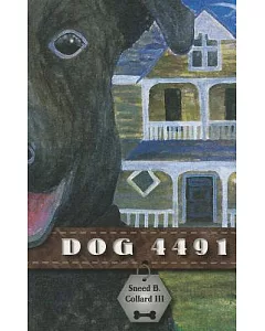 Dog 4491
