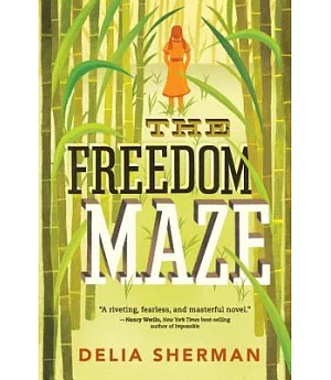 The Freedom Maze