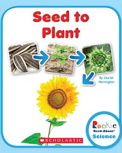 Seed to Plant