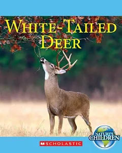 White-Tailed Deer