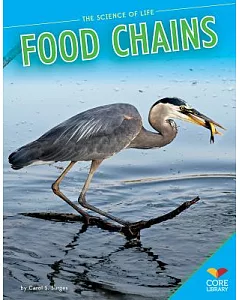 Food Chains