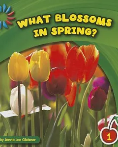 What Blossoms in Spring?