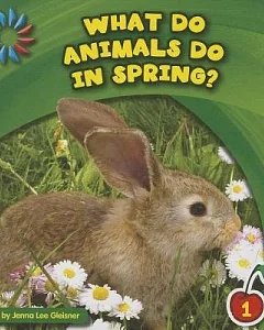 What Do Animals Do in Spring?