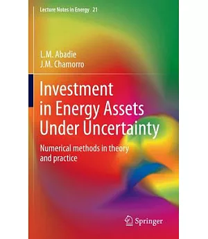 Investment in Energy Assets Under Uncertainty: Numerical Methods in Theory and Practice