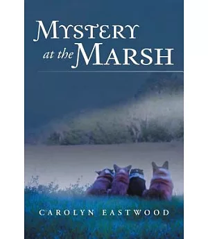 Mystery at the Marsh