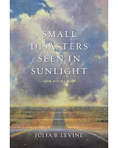 Small Disasters Seen in Sunlight: Poems
