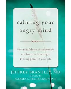 Calming Your Angry Mind: How Mindfulness & Compassion Can Free You from Anger & Bring Peace to Your Life