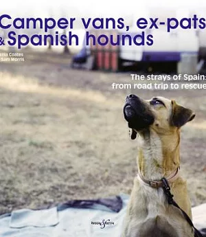 Camper Vans, Ex-Pats & Spanish Hounds: The Strays of Spain: From Road Trip to Rescue