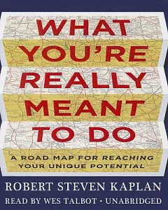 What You’re Really Meant to Do: A Road Map for Reaching Your Unique Potential