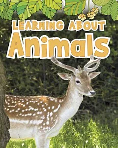 Learning About Animals