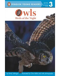 Owls: Birds of the Night