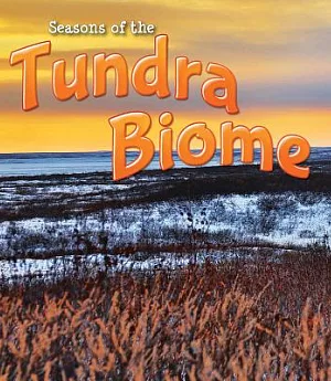 Seasons of the Tundra Biome