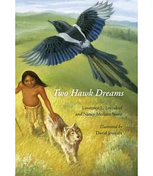 Two Hawk Dreams