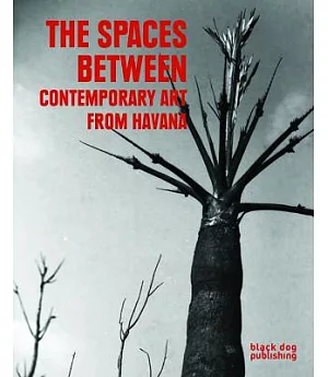 The Spaces Between: Contemporary Art from Havana
