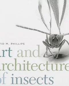 Art and Architecture of Insects