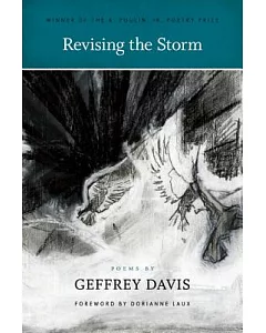 Revising the Storm