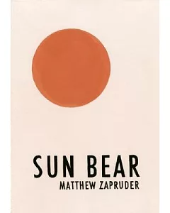 Sun Bear