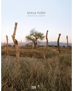 Teresa Moller: Unveiling the Landscape