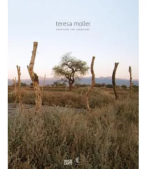 Teresa Moller: Unveiling the Landscape