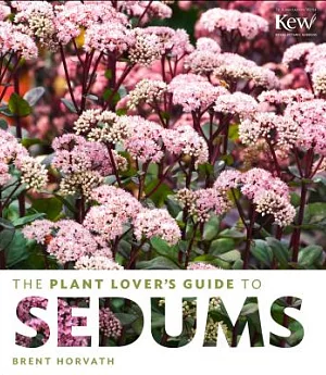 The Plant Lover’s Guide to Sedums