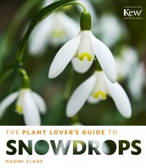 The Plant Lover’s Guide to Snowdrops