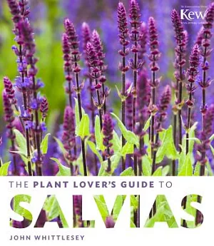 The Plant Lover’s Guide to Salvias