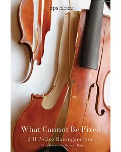 What Cannot Be Fixed