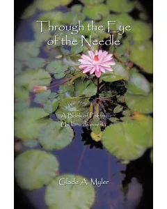 Through the Eye of the Needle: A Book of Poetry