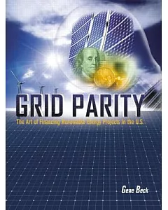 Grid Parity: The Art of Financing Renewable Energy Projects in the U.s.