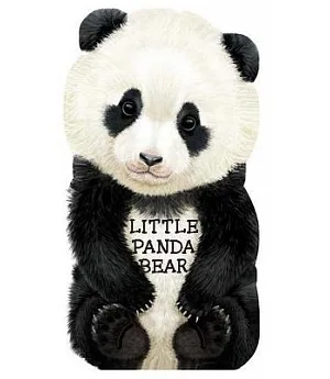 Little Panda Bear