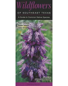 Wildflowers of Southeast Texas: A Guide to Common Native Species