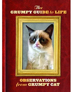 The grumpy Guide to Life: Observations from grumpy cat