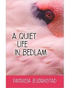 A Quiet Life in Bedlam(POD)