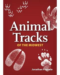 Animal Tracks of Midwest