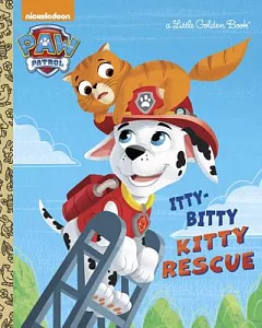 Itty-bitty Kitty Rescue