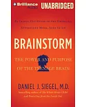 Brainstorm: The Power and Purpose of the Teenage Brain, an Inside-out Guide to the Emerging Adolescent Mind, Ages 12-24