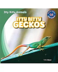 Itty Bitty Geckos