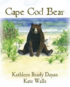 Cape Cod Bear