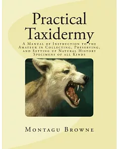 Practical Taxidermy: A Manual of Instruction to the Amateur in Collecting, Preserving, and Setting Up Natural History Specimens