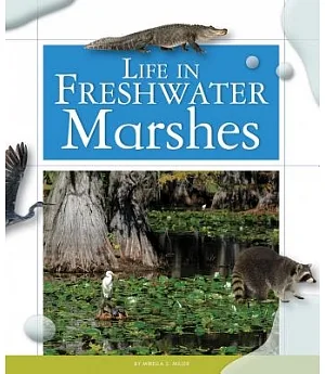 Life in Freshwater Marshes