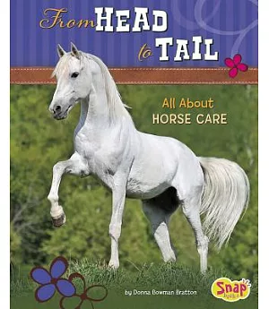 From Head to Tail: All About Horse Care