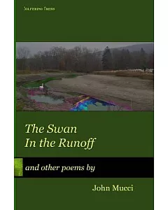 Swan in the Runoff: And Other Poems