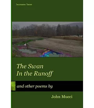 Swan in the Runoff: And Other Poems