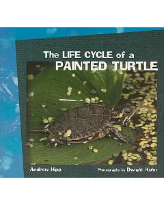 The Life Cycle of a Painted Turtle