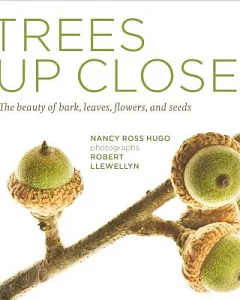 Trees Up Close: The beauty of bark, leaves, flowers, and seeds