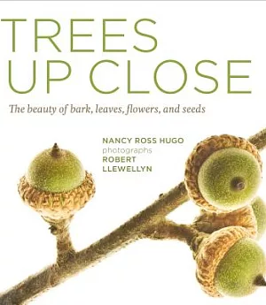 Trees Up Close: The beauty of bark, leaves, flowers, and seeds